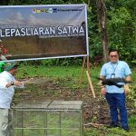 BBKSDA Papua Released 20 Protected Animals Back to the Wild